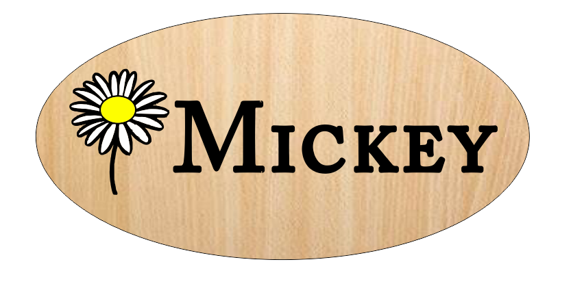 Custom Engraved sign for Nicole