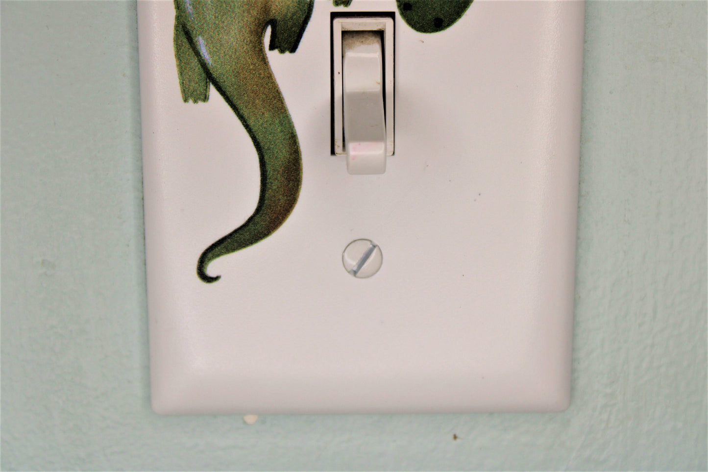 flying green dragon fairy tale princess prince nursery light switch cover plate printed in color cartoon unique decor