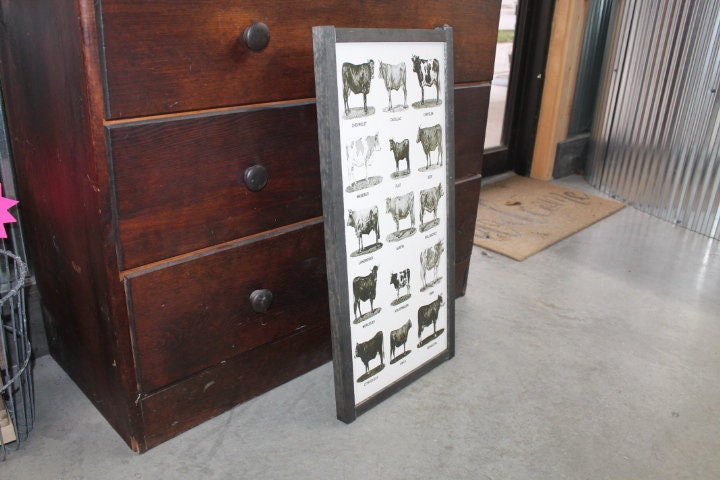 Types of Cows Cow Lover Humor Car Joke Style Body Type Farmhouse Farm Country Livestock Print Black and White Framed Home Decor Rustic