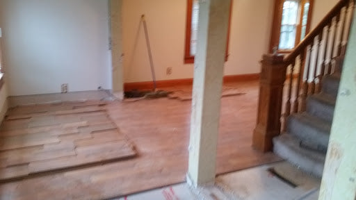 Blog 9- Dining Room Exploration