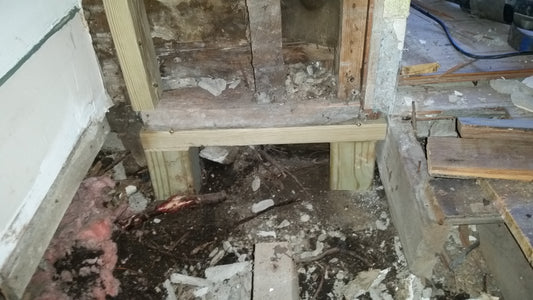 BLOG 5 Beetles, Termites and Dry Rot, OH MY!  (Living Room)