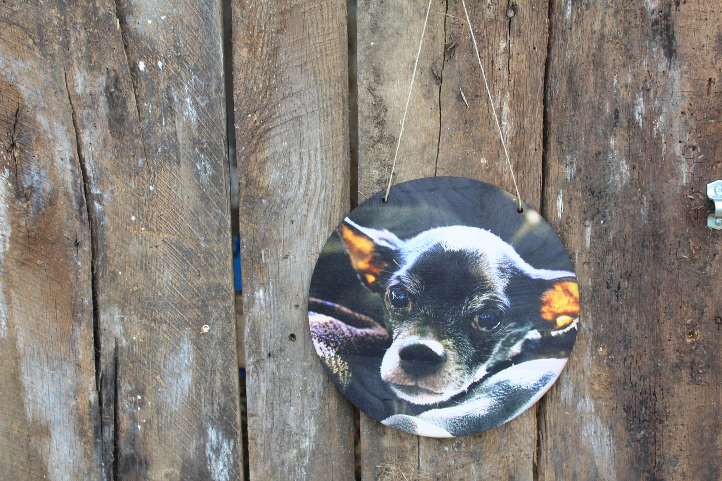 Pet Photo Dog Photo Your Photos on Wood Memories on Wood Your Picture Printed Personalized Custom Gift Idea Home Decor USA