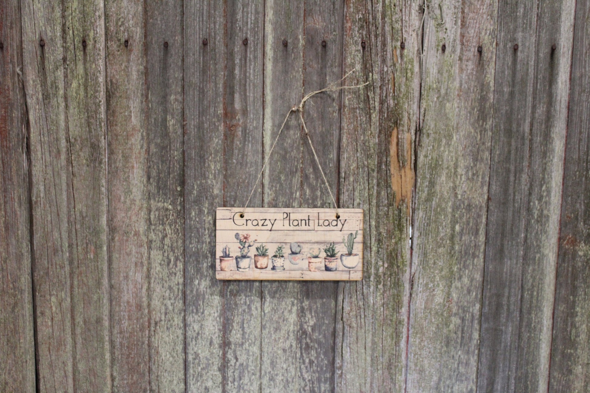 Crazy Plant Lady Succulent Sign Wood Hanging Wall Art Watercolor Print Decoration Decor Cactus Plant House Plant Greenery