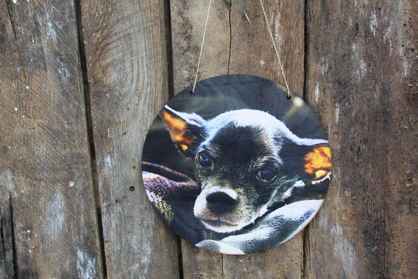 Pet Photo Dog Photo Your Photos on Wood Memories on Wood Your Picture Printed Personalized Custom Gift Idea Home Decor USA