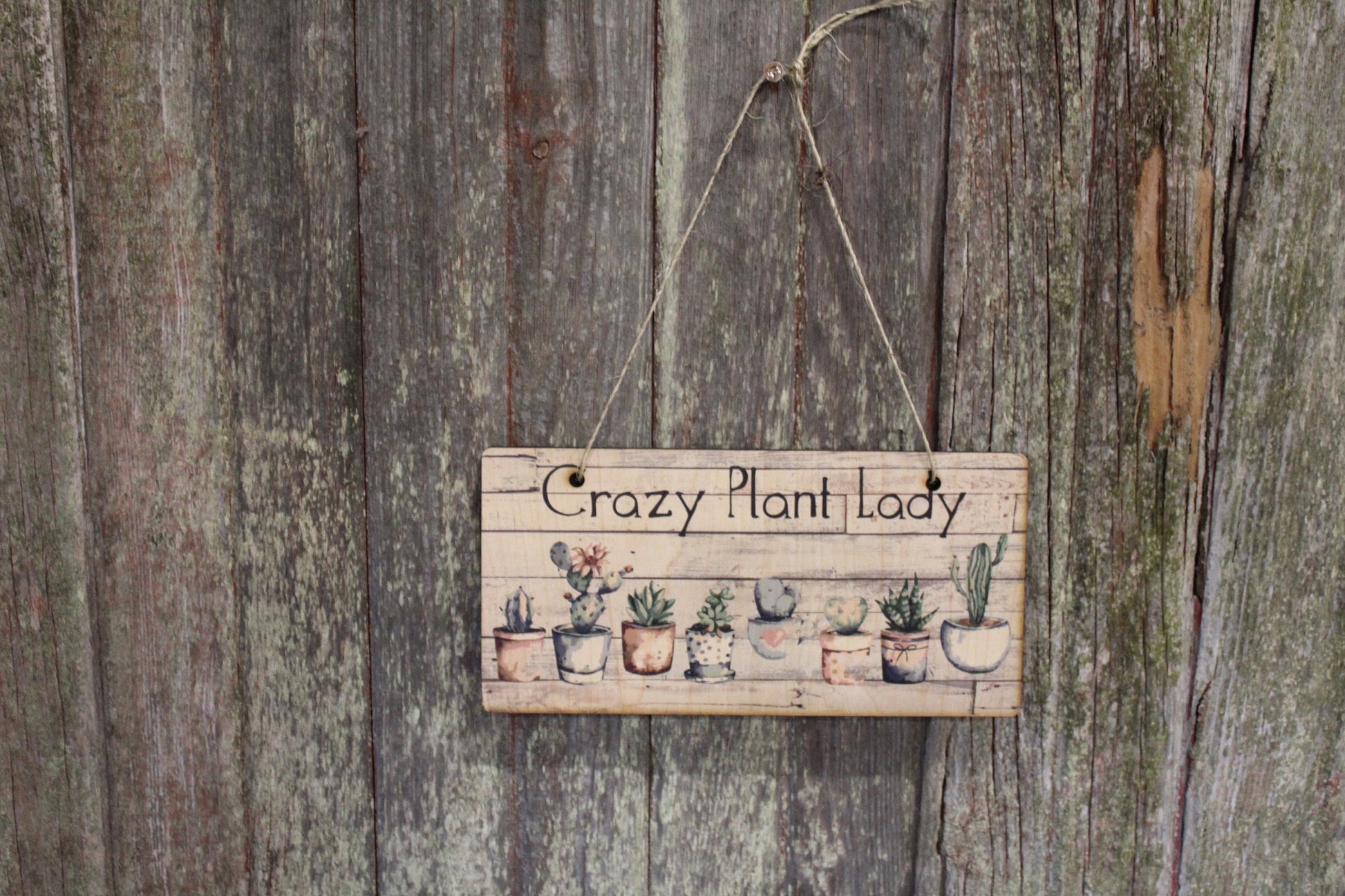 Crazy Plant Lady Succulent Sign Wood Hanging Wall Art Watercolor Print Decoration Decor Cactus Plant House Plant Greenery