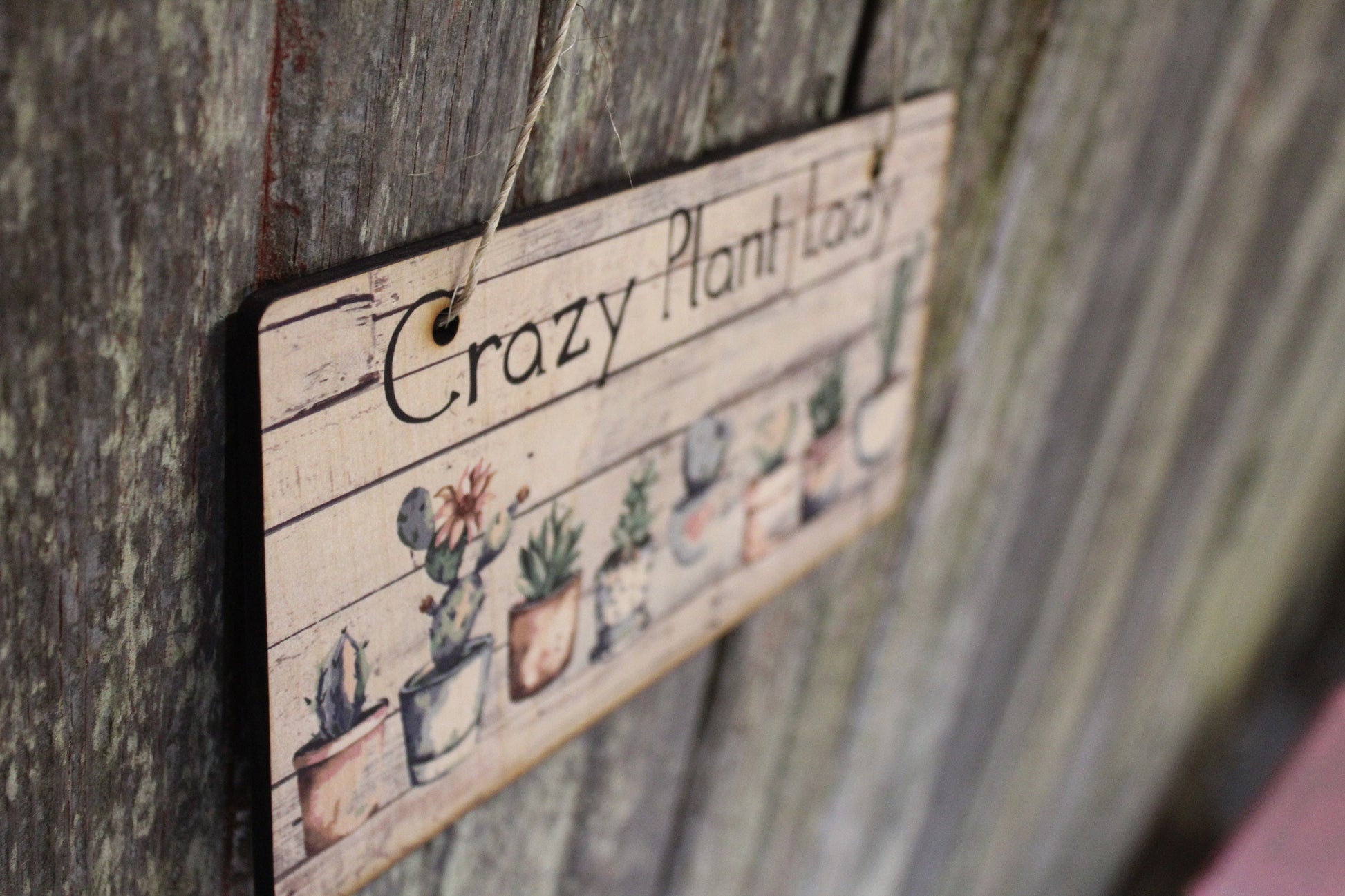 Crazy Plant Lady Succulent Sign Wood Hanging Wall Art Watercolor Print Decoration Decor Cactus Plant House Plant Greenery