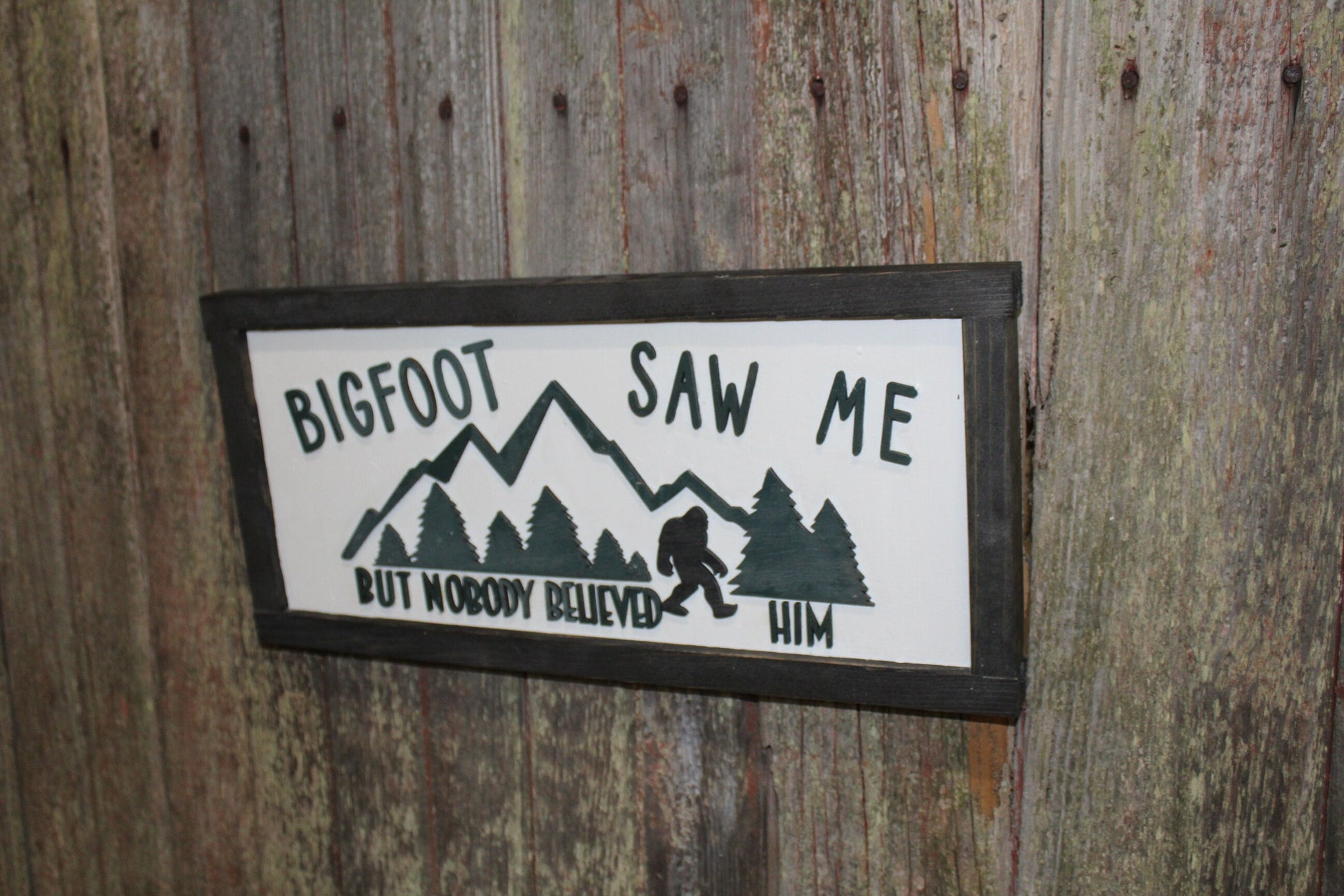 Bigfoot Saw Me But Nobody Believed Him Believer 3D Wood Sign Country Primitive Wall Hanging Decoration Mountains Joke Goofy Funny Rustic
