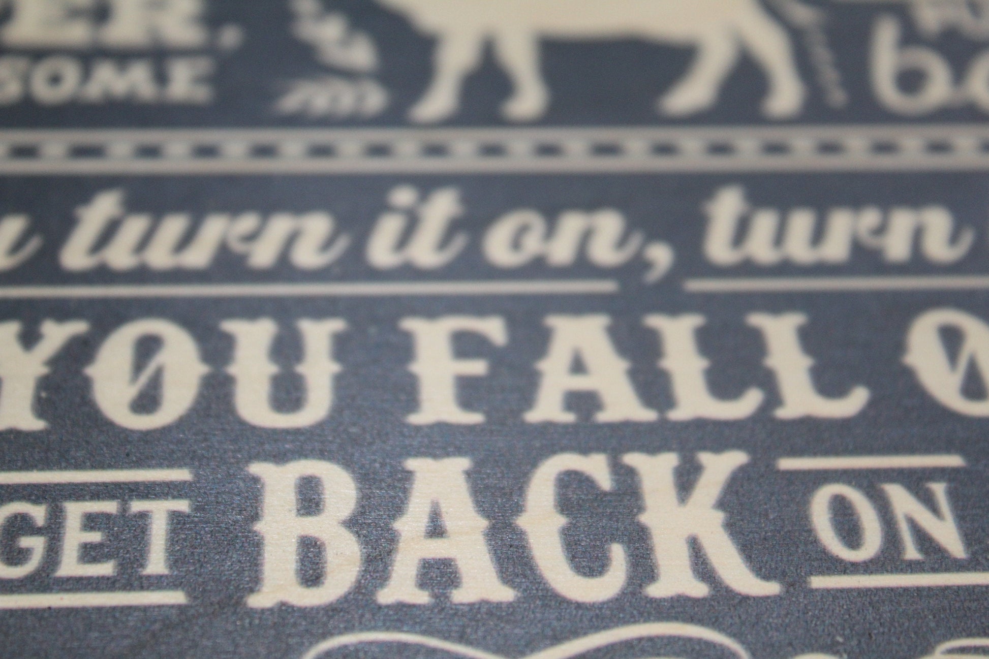 Barn Rules Wood Sign If You Ride It Feed It Rustic Wall Hanging Fall Off Get Back On Cow Farm Life Decoration Hard Work Gift Farmer Western