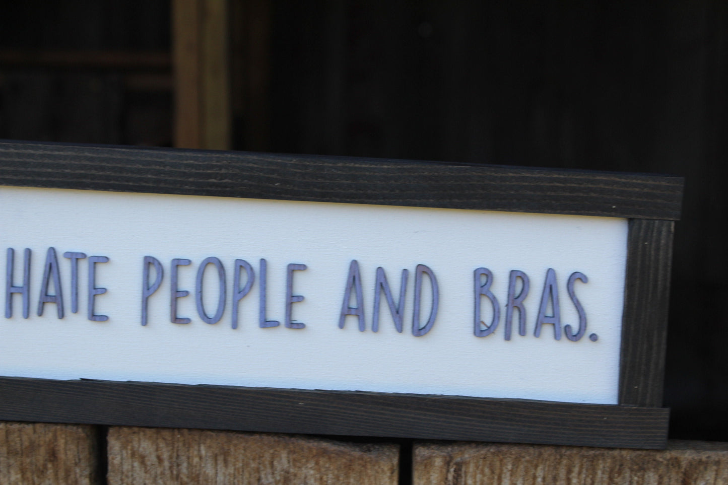 I Hate People And Bras Wood Sign Raised Text Wall Hanging Decoration Rustic Gift Decor Introvert Loner Solitary Sarcastic Comfy Clothes