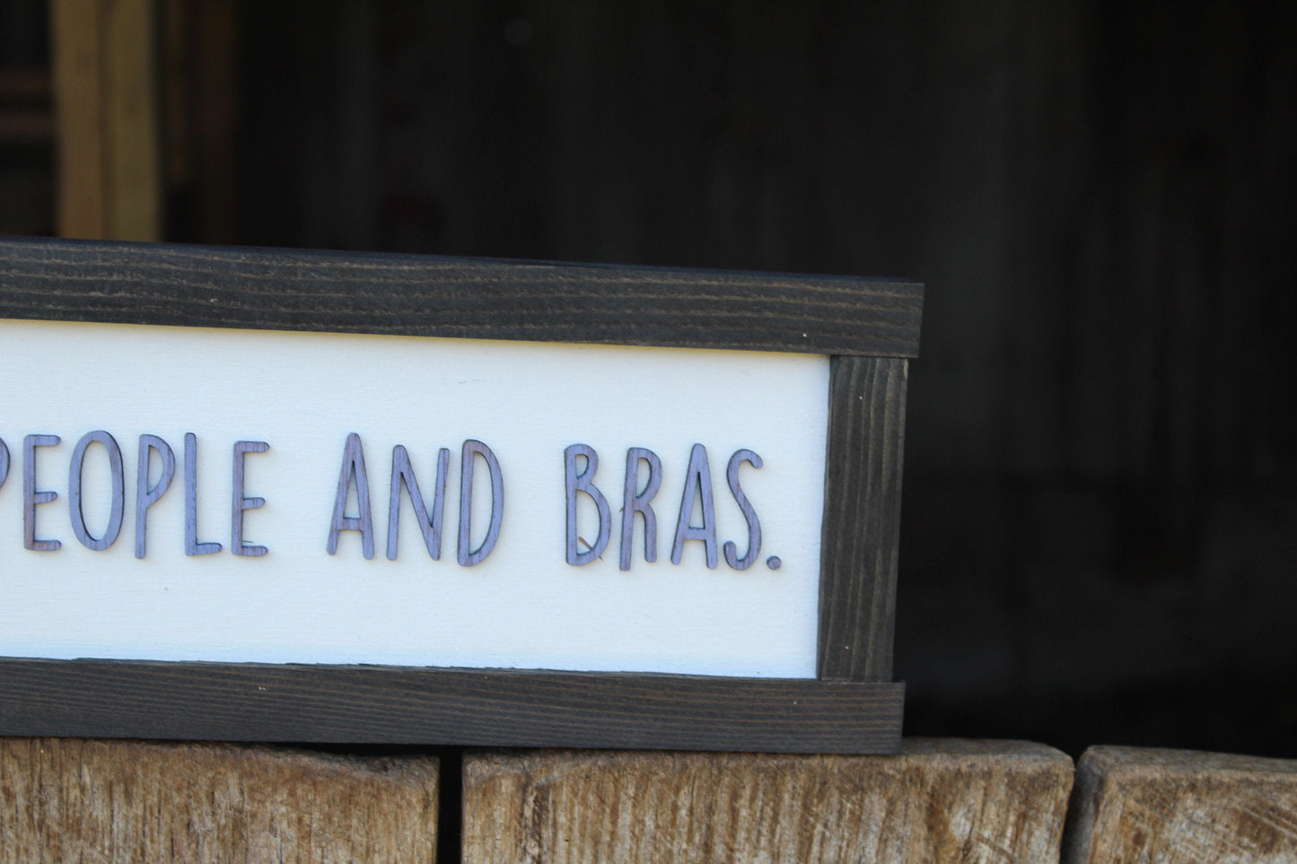 I Hate People And Bras Wood Sign Raised Text Wall Hanging Decoration Rustic Gift Decor Introvert Loner Solitary Sarcastic Comfy Clothes