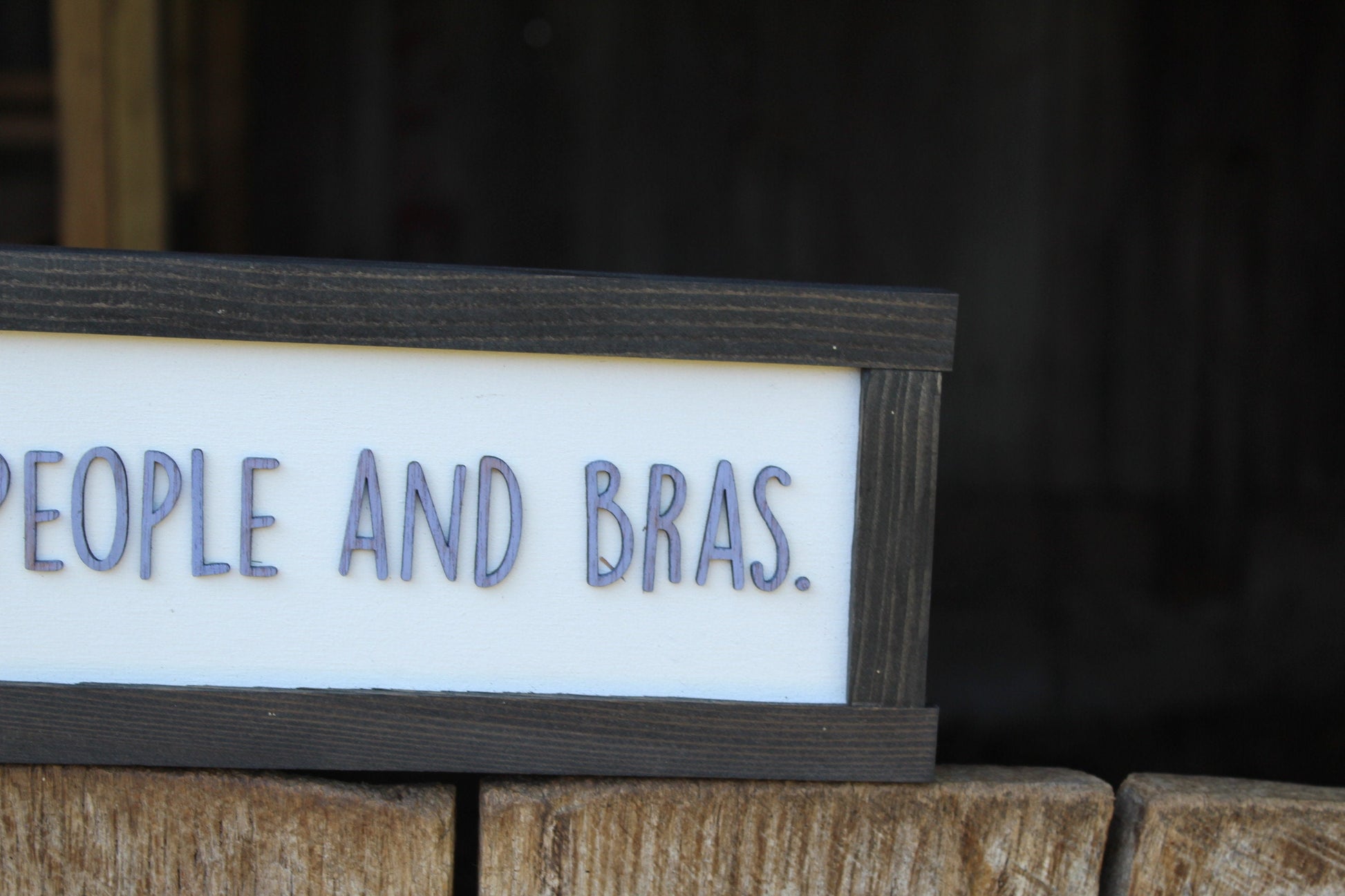I Hate People And Bras Wood Sign Raised Text Wall Hanging Decoration Rustic Gift Decor Introvert Loner Solitary Sarcastic Comfy Clothes