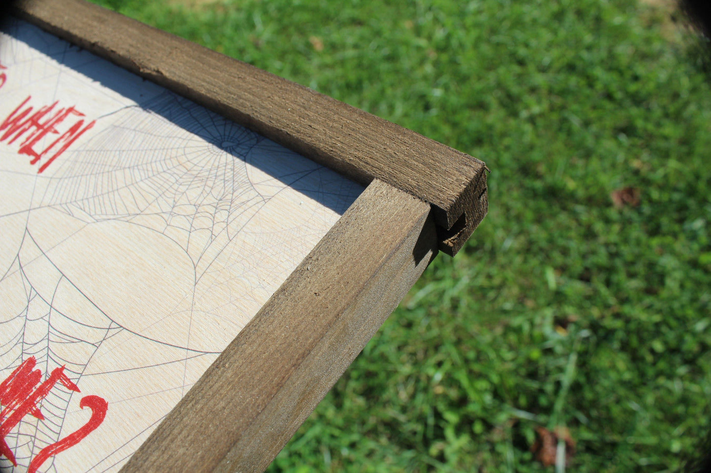 Spider Scary Sign Wood Decor Halloween Fall Remember When You Tried To Kill Me Decoration Joke Wall Décor Wood Print 3D Tarantula Web Funny