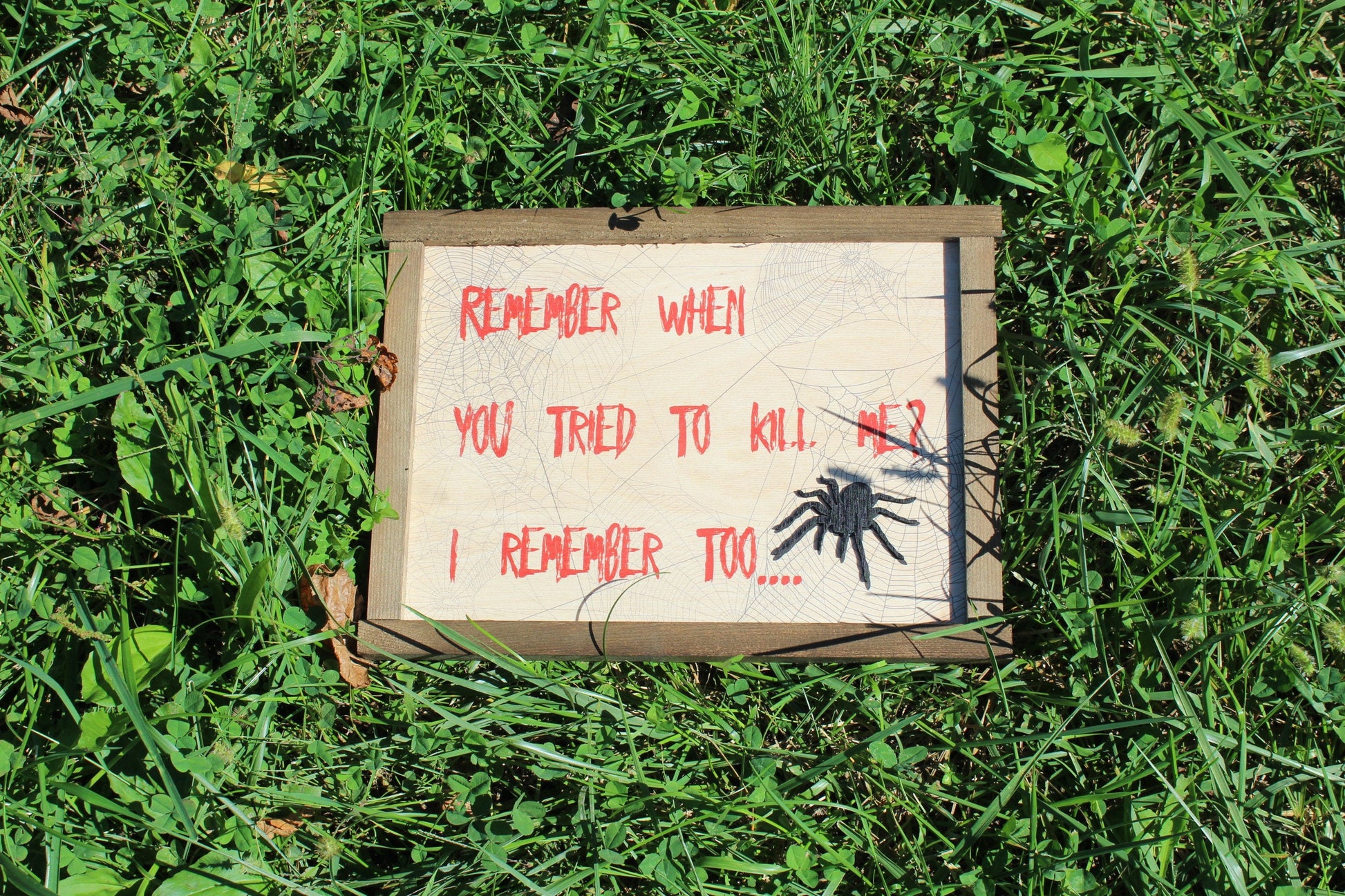 Spider Scary Sign Wood Decor Halloween Fall Remember When You Tried To Kill Me Decoration Joke Wall Décor Wood Print 3D Tarantula Web Funny
