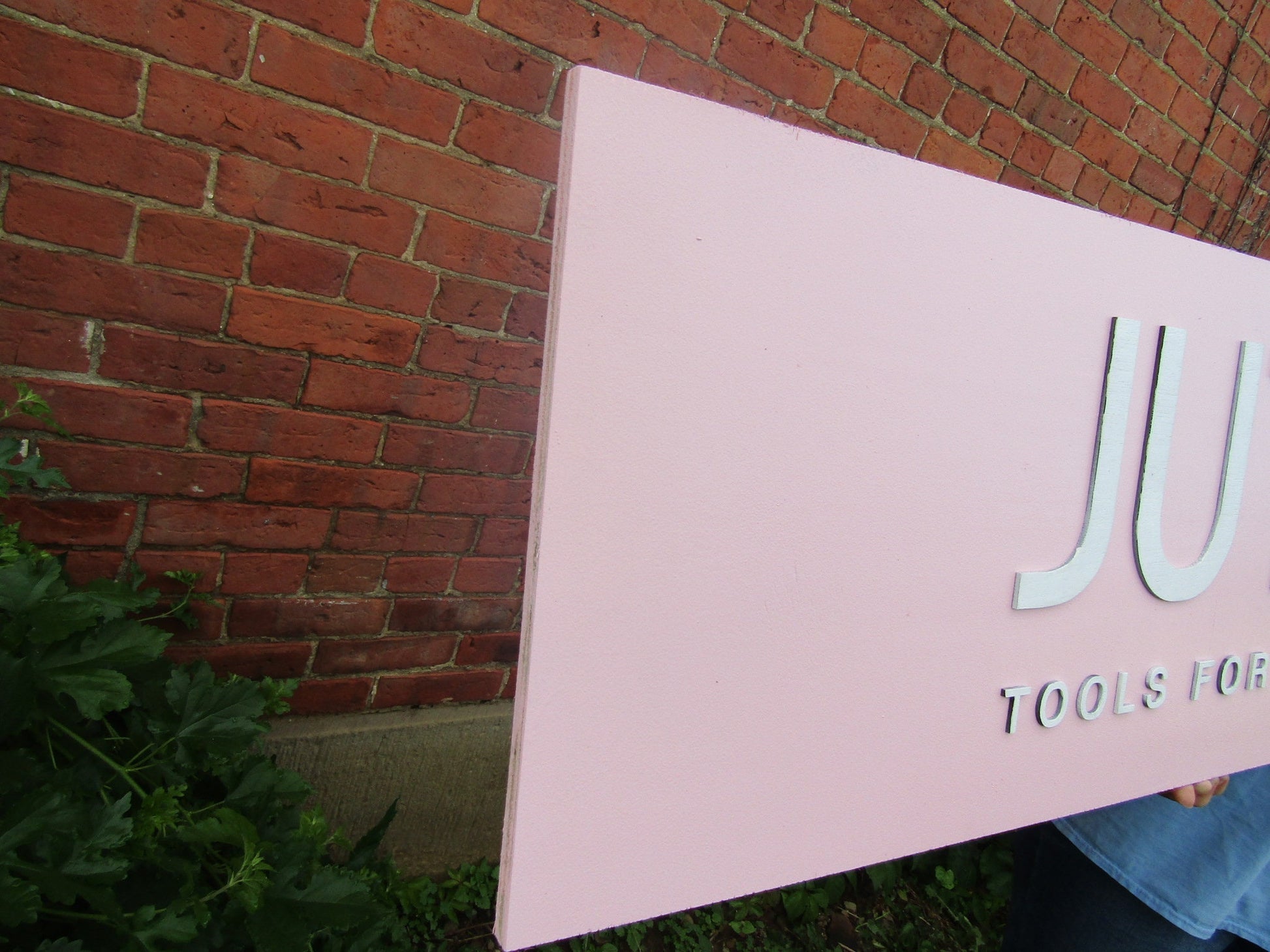 Custom Pink Rectangle Commerical Sign JUTE Tools for Living Health Wellness Therapy Office Signage Made to Order Your Logo Wooden Sign