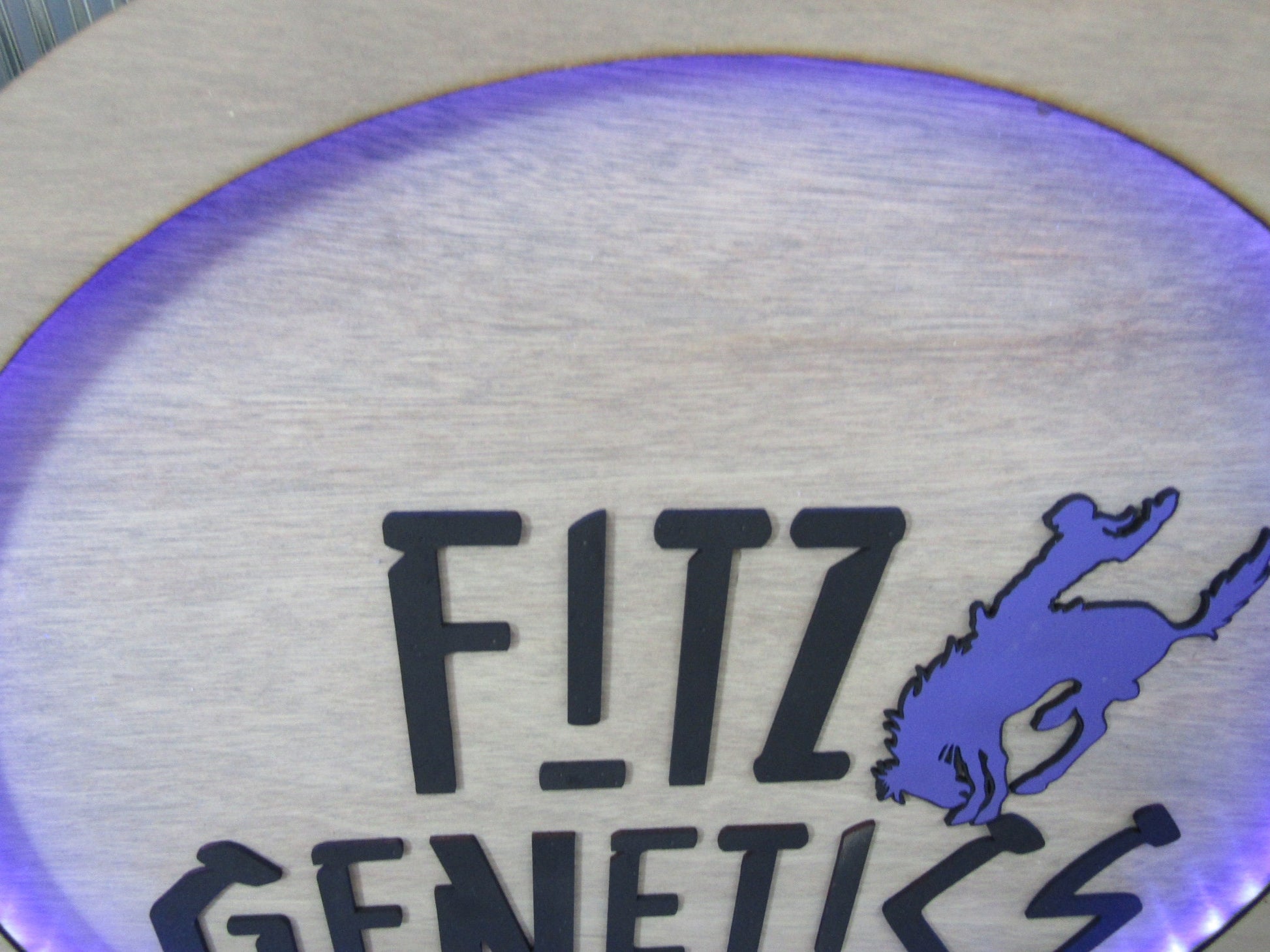 Custom Wood Lit Commercial Business Sign Cattle Genetics Livestock Horse Cowboy Logo LED Entrance Light Remote Electric Light Up Wood Wooden