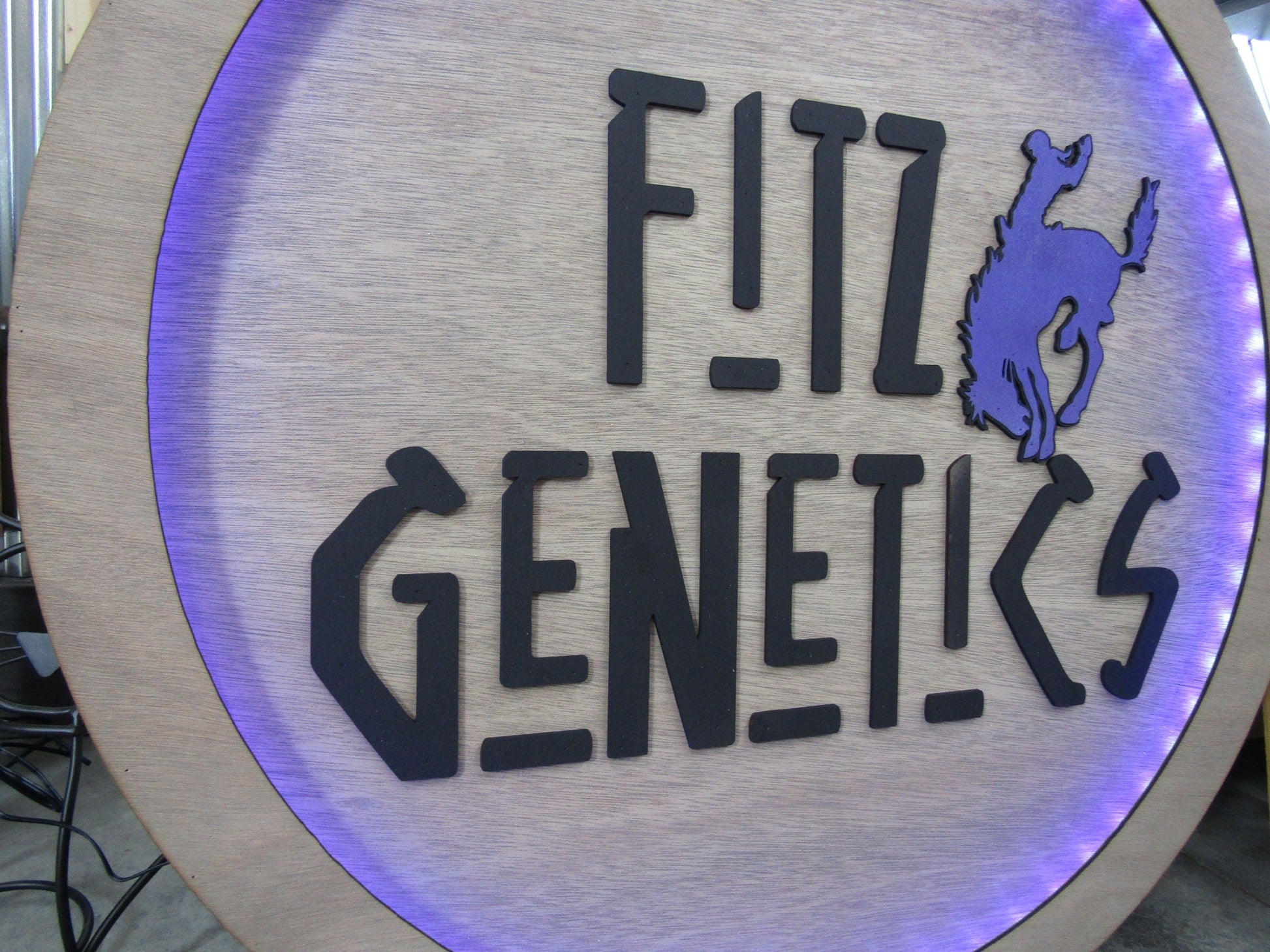 Custom Wood Lit Commercial Business Sign Cattle Genetics Livestock Horse Cowboy Logo LED Entrance Light Remote Electric Light Up Wood Wooden