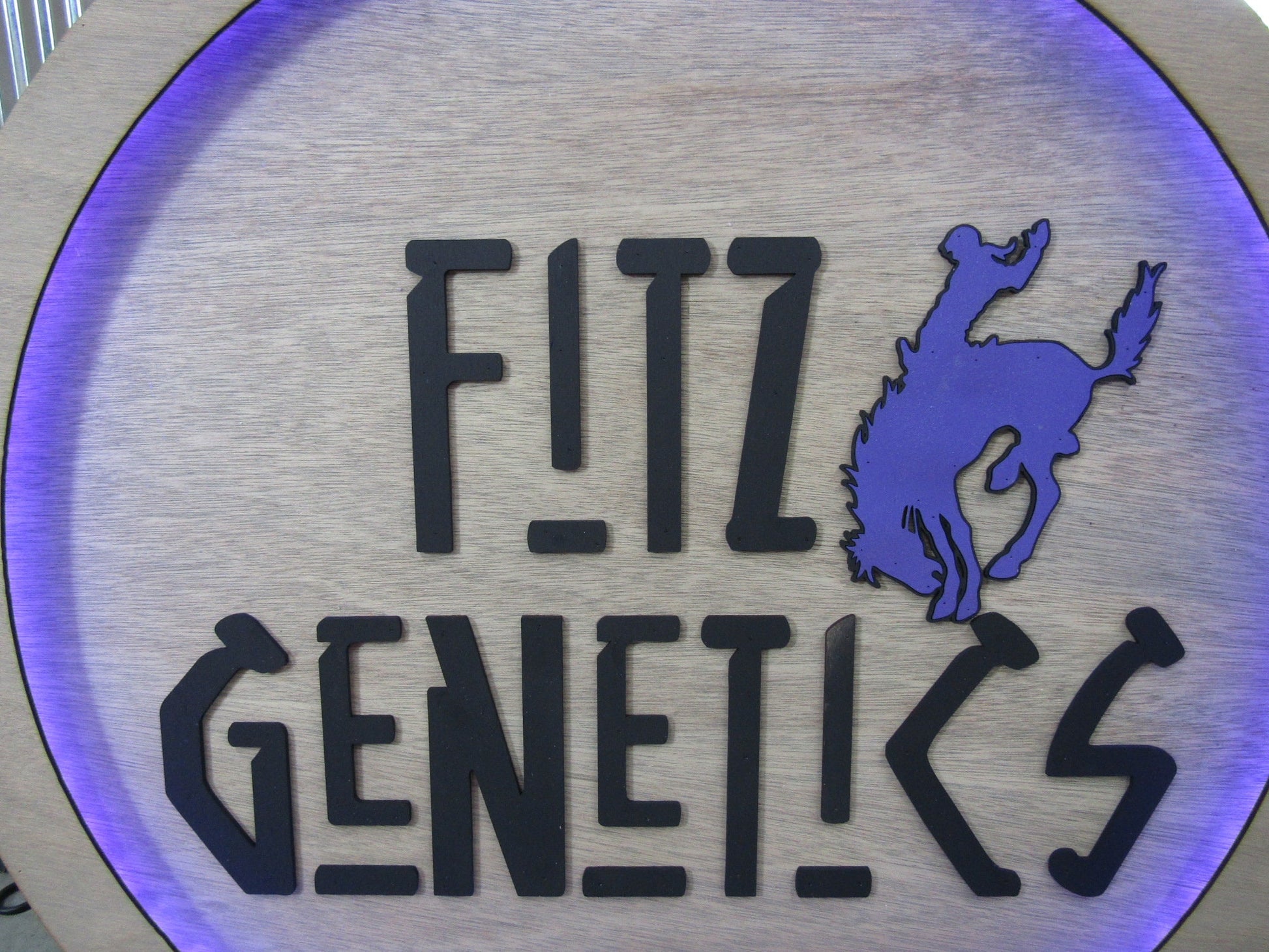 Custom Wood Lit Commercial Business Sign Cattle Genetics Livestock Horse Cowboy Logo LED Entrance Light Remote Electric Light Up Wood Wooden