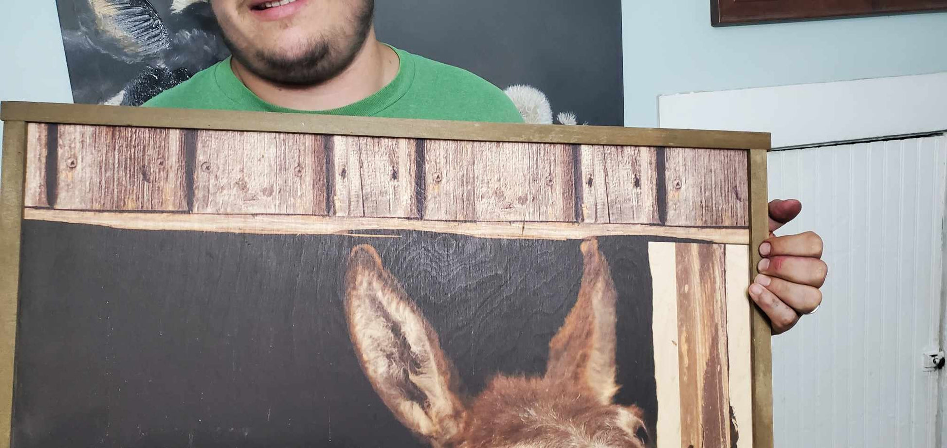 Donkey Mule Peek a boo Jack Barn Farm Hobby Animal Lover Cute Rustic Printed Living Room Home Decor Handmade Printed Livestock Framed