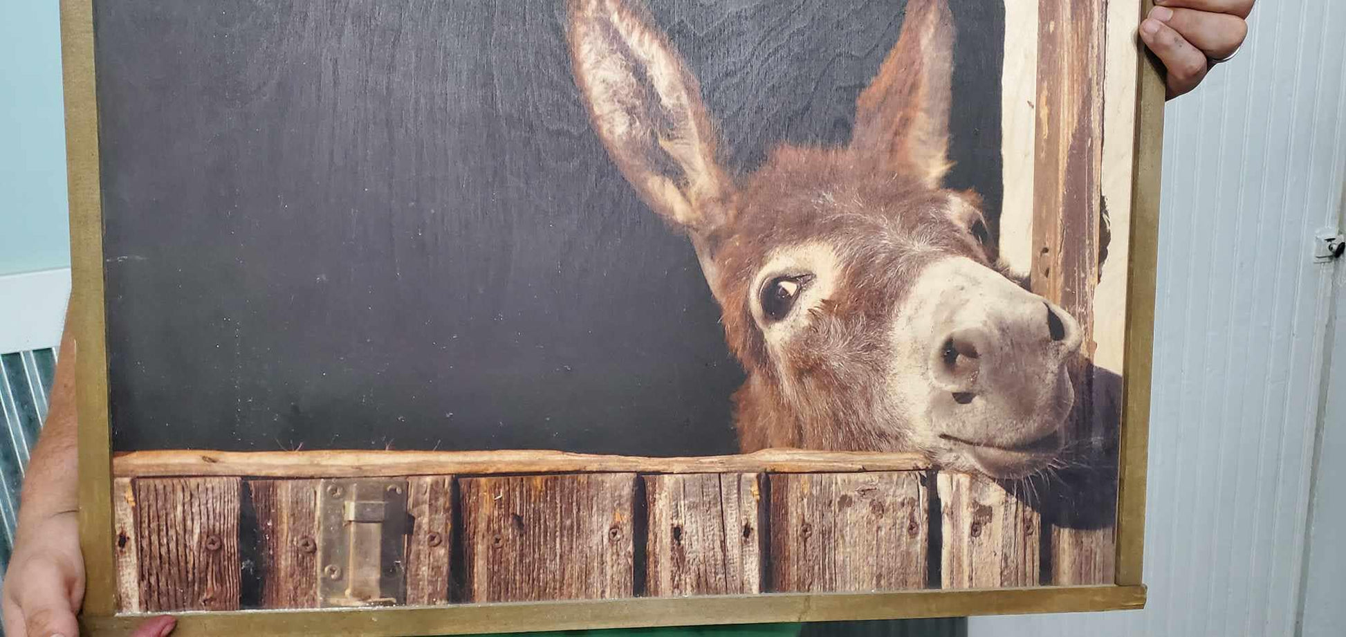 Donkey Mule Peek a boo Jack Barn Farm Hobby Animal Lover Cute Rustic Printed Living Room Home Decor Handmade Printed Livestock Framed