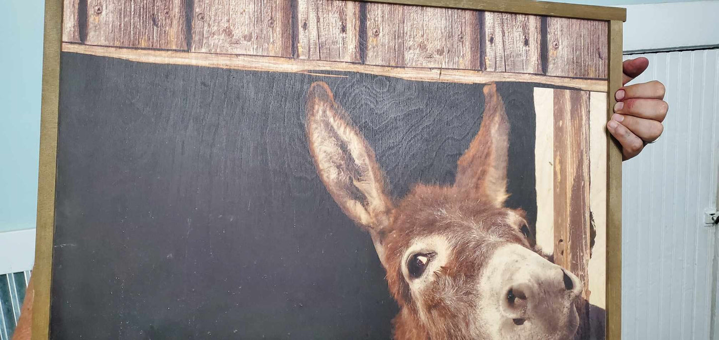 Donkey Mule Peek a boo Jack Barn Farm Hobby Animal Lover Cute Rustic Printed Living Room Home Decor Handmade Printed Livestock Framed