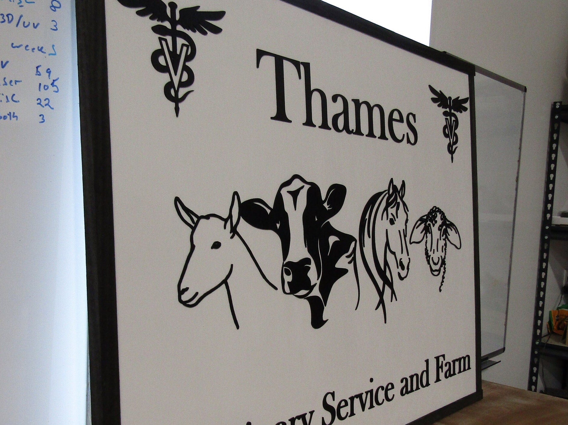 animal clinic