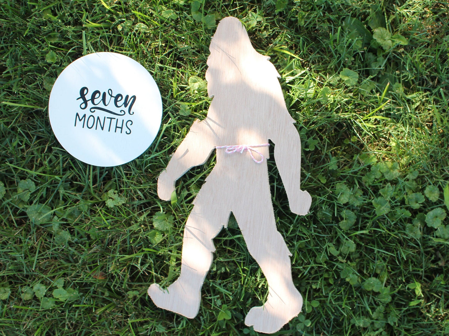 Monthly Milestones Baby Growth Grow with Me Watch me Grow 12 months Countdown Birthday Uv Print Light Weight Growth Chart Wooden Slice