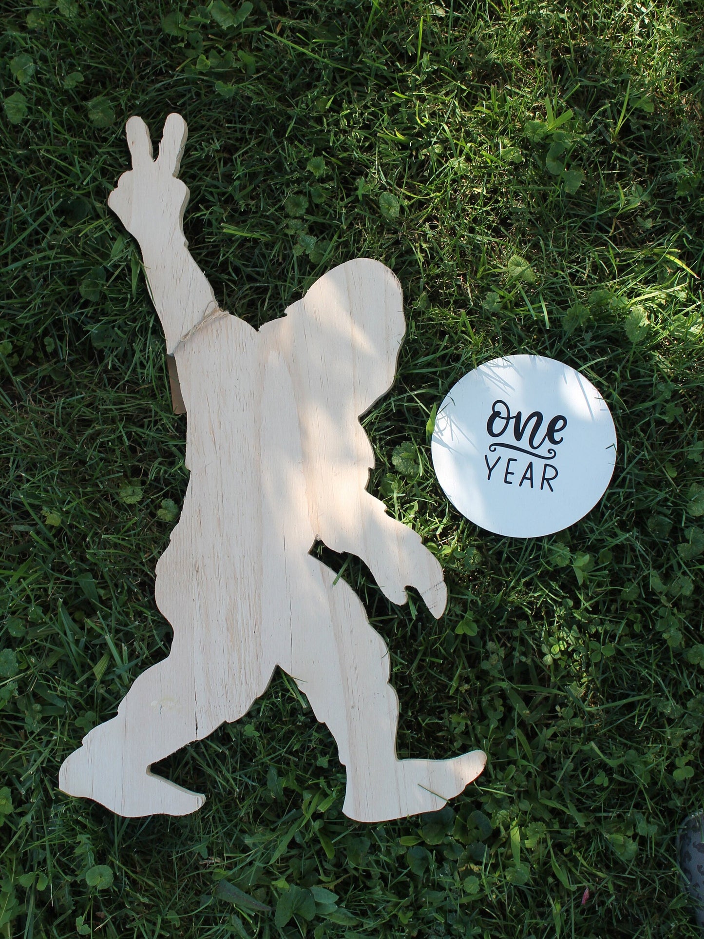 Monthly Milestones Baby Growth Grow with Me Watch me Grow 12 months Countdown Birthday Uv Print Light Weight Growth Chart Wooden Slice