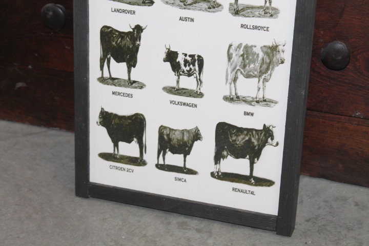 Types of Cows Cow Lover Humor Car Joke Style Body Type Farmhouse Farm Country Livestock Print Black and White Framed Home Decor Rustic