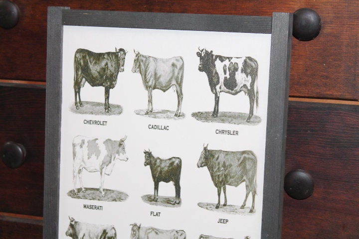 Types of Cows Cow Lover Humor Car Joke Style Body Type Farmhouse Farm Country Livestock Print Black and White Framed Home Decor Rustic