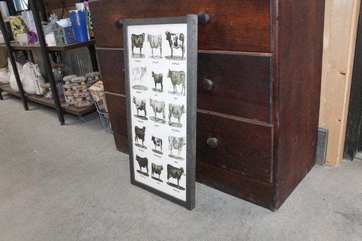 Types of Cows Cow Lover Humor Car Joke Style Body Type Farmhouse Farm Country Livestock Print Black and White Framed Home Decor Rustic