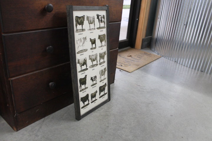 Types of Cows Cow Lover Humor Car Joke Style Body Type Farmhouse Farm Country Livestock Print Black and White Framed Home Decor Rustic