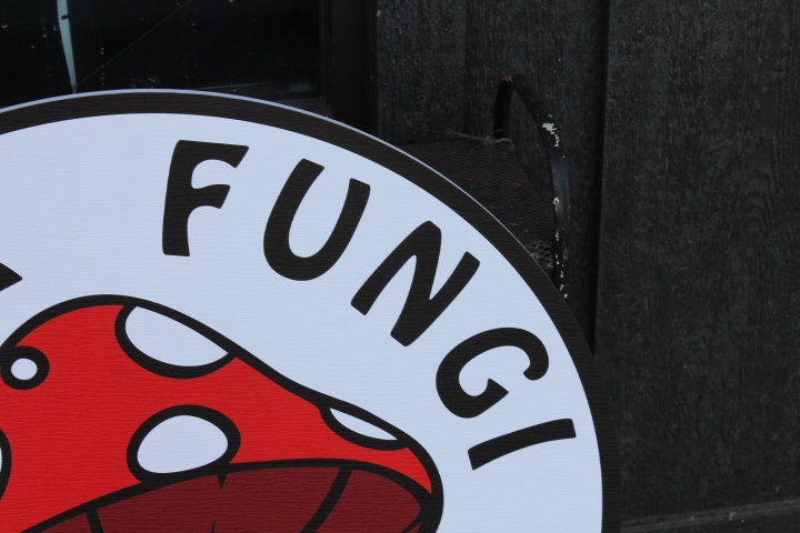 Mushroom Fungi Fungus Fun Guy Sunglasses Personalize Waterproof Sign Smooth Round Outdoor Business Logo Great for hanging or wall mounted