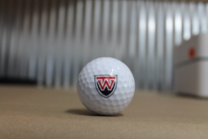 Local School Logo Gift Set Wholesale Bulk Custom Golf Balls Golfer Sport Printed Club Clubhouse Team Local District Business Personalize