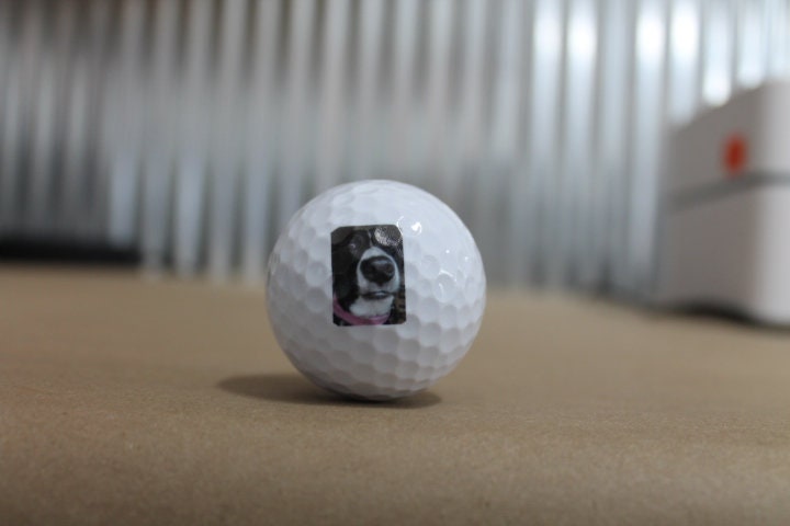 Your Image on a Golf Ball Custom Logo Personalized Picture Your Dog Pet on a Golf Ball Gag Gift Fathers Day Gift Wholesale Bulk Your Design!