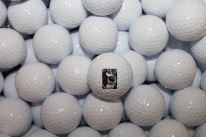 Your Image on a Golf Ball Custom Logo Personalized Picture Your Dog Pet on a Golf Ball Gag Gift Fathers Day Gift Wholesale Bulk Your Design!