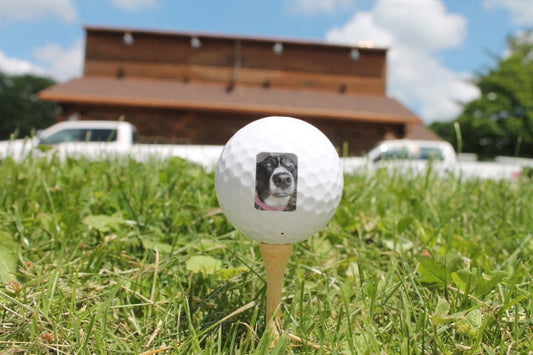 Your Image on a Golf Ball Custom Logo Personalized Picture Your Dog Pet on a Golf Ball Gag Gift Fathers Day Gift Wholesale Bulk Your Design!