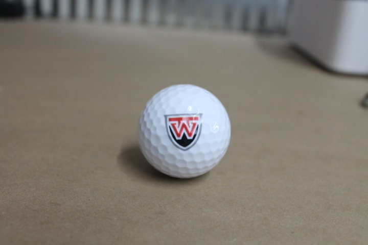 Local School Logo Gift Set Wholesale Bulk Custom Golf Balls Golfer Sport Printed Club Clubhouse Team Local District Business Personalize