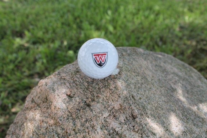 Local School Logo Gift Set Wholesale Bulk Custom Golf Balls Golfer Sport Printed Club Clubhouse Team Local District Business Personalize