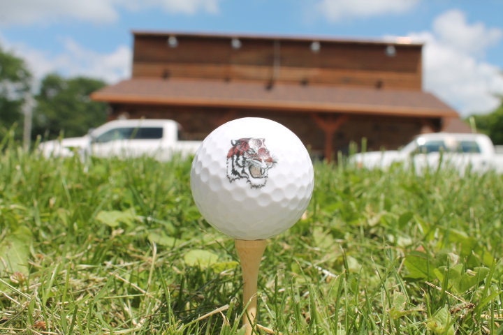 Corporate Golf Ball Business Logo Match Your Brand Bulk Wholesale Personalize Custom Golfers Gift Team Printed Full Color Theme