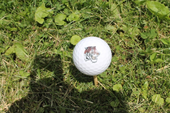 Corporate Golf Ball Business Logo Match Your Brand Bulk Wholesale Personalize Custom Golfers Gift Team Printed Full Color Theme