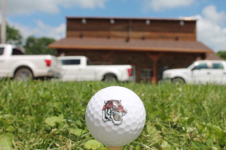 Corporate Golf Ball Business Logo Match Your Brand Bulk Wholesale Personalize Custom Golfers Gift Team Printed Full Color Theme