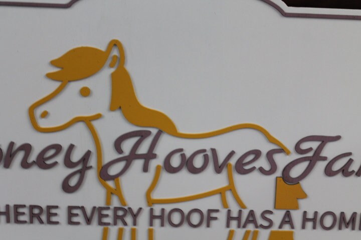 Farm Homestead Commerical Signage Horse Barn Handmade Sign Business Signage Contour 3D Custom Indoor Outdoor Small Business Laser Cut Wood