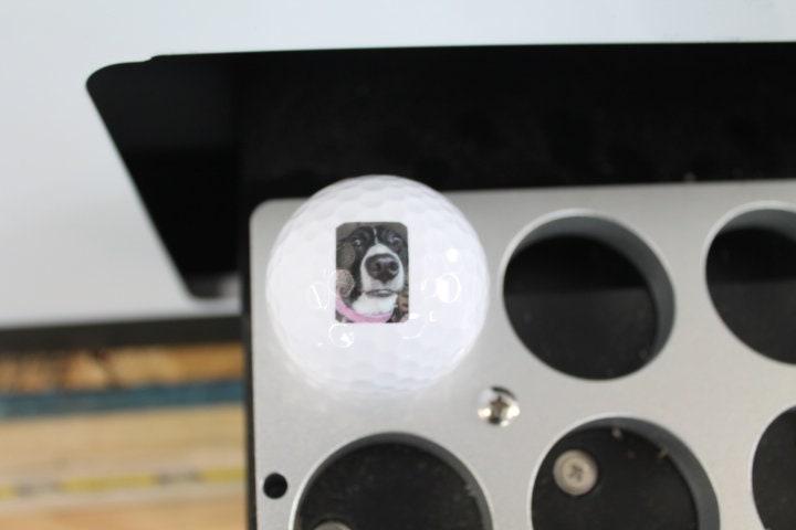 Your Image on a Golf Ball Custom Logo Personalized Picture Your Dog Pet on a Golf Ball Gag Gift Fathers Day Gift Wholesale Bulk Your Design!