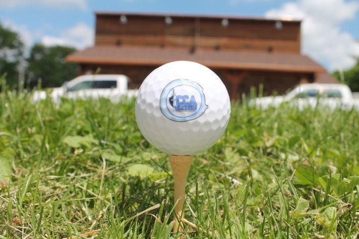 Golf Team Custom Golf Ball School Logo Set Personalize Your Own School District Local Golfer Sports Fundraiser Idea Small School Team Gift