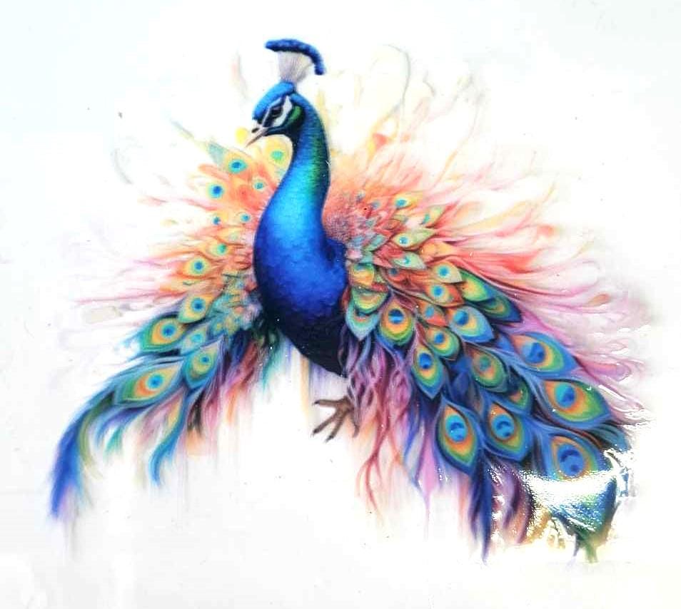 Peacock Assorted Watercolor Theme Decals Waterproof Sheet Full Color Sticker Kids Bright Fun Window Deal Wall Sticker Thermos Painted Bird