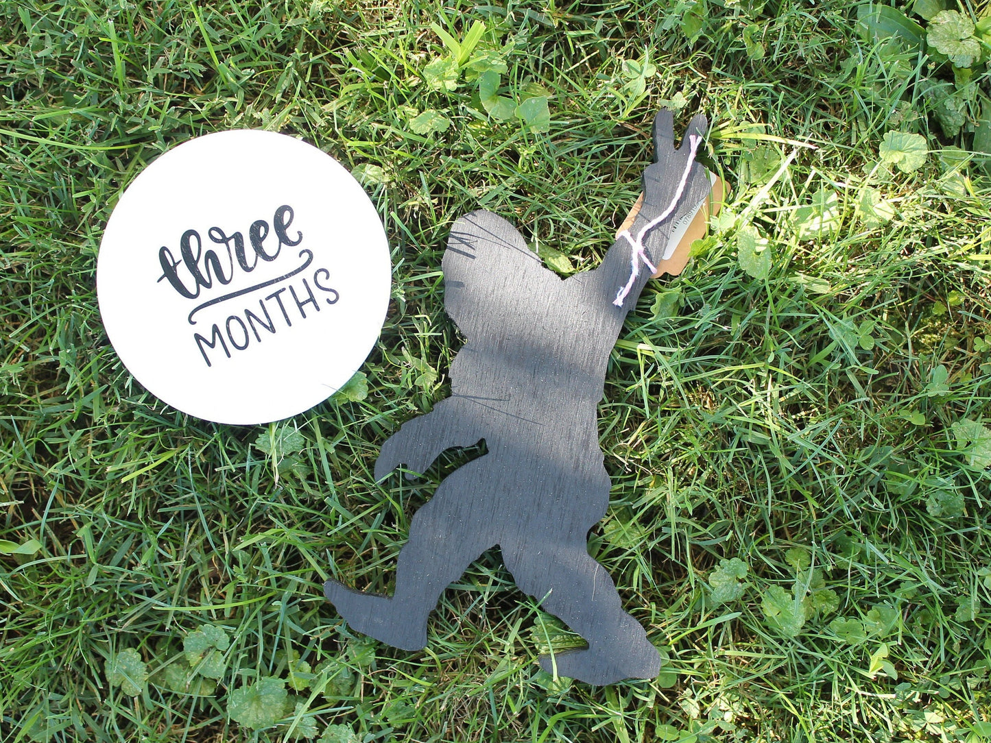 Monthly Milestones Baby Growth Grow with Me Watch me Grow 12 months Countdown Birthday Uv Print Light Weight Growth Chart Wooden Slice