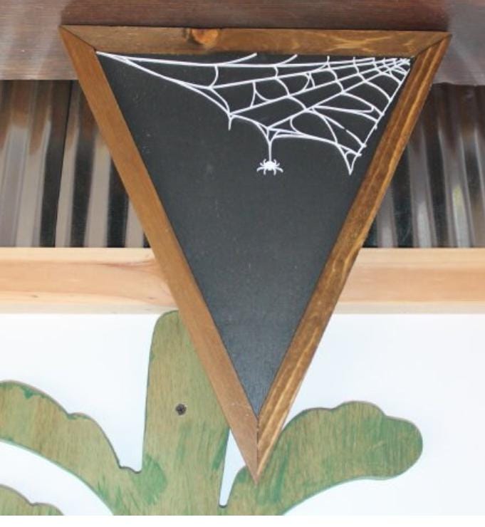 spider web sign