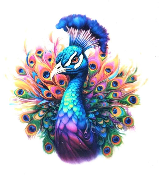 Peacock Assorted Watercolor Theme Decals Waterproof Sheet Full Color Sticker Kids Bright Fun Window Deal Wall Sticker Thermos Painted Bird