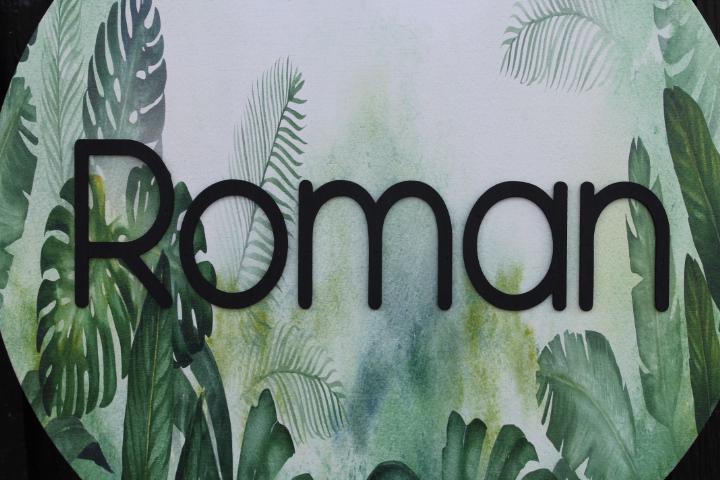 Custom Sign Round Nursery Little Boys Jungle Forest Theme Leaves Personalized Circle Wooden Handmade Printed and Raised Name Crib