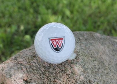 Local School Logo Gift Set Wholesale Bulk Custom Golf Balls Golfer Sport Printed Club Clubhouse Team Local District Business Personalize